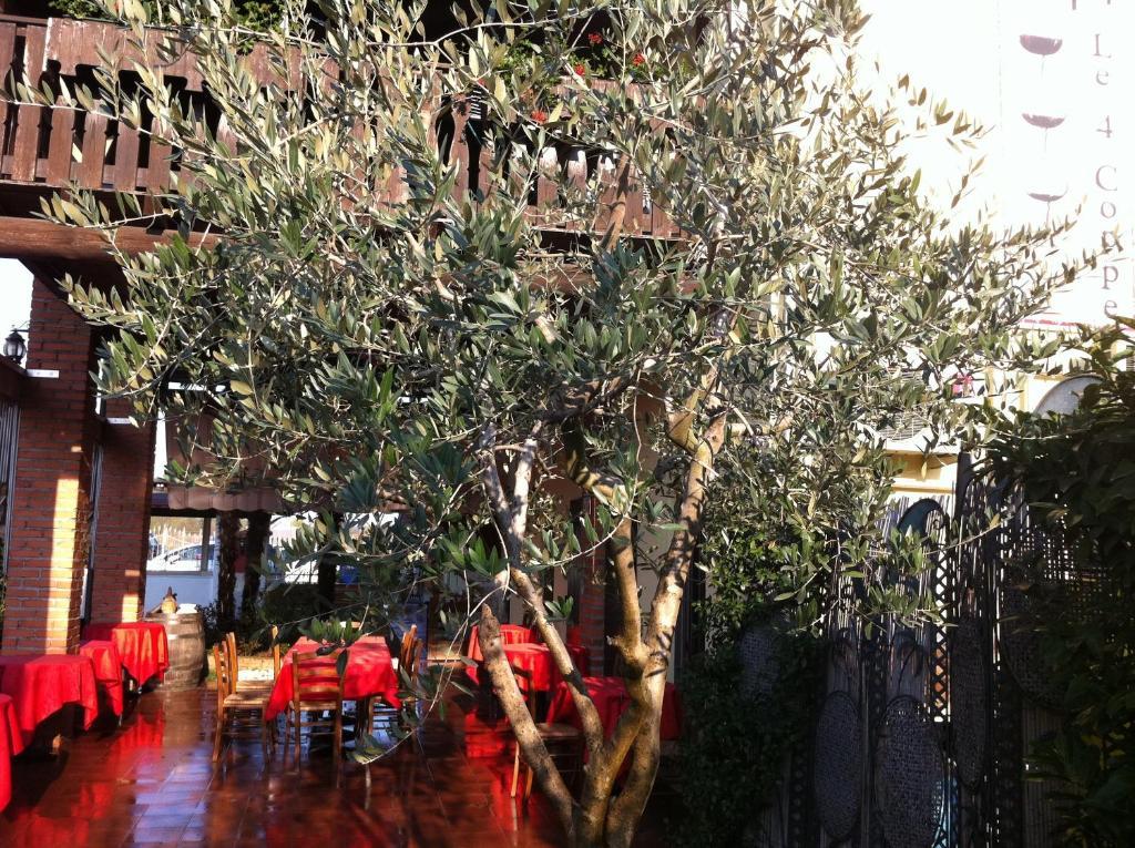Manuela Le Quattro Coppe Hotell Desenzano del Garda Eksteriør bilde